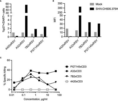 Elimination of SHIV Infected Cells by Combinations of Bispecific HIVxCD3 DART® Molecules